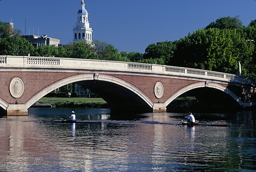 Admission essay editing service harvard
